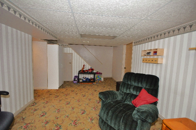 Lower Level is perfect for the kids TV area
