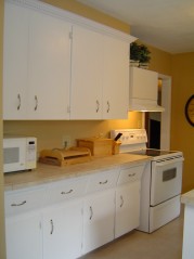The countertops, flooring, dishwasher and tap have been replaced so it has an updated look and feel 