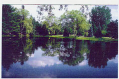 Another view of one of the ponds