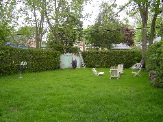  Backyard is large enough for the children and your family pet to play